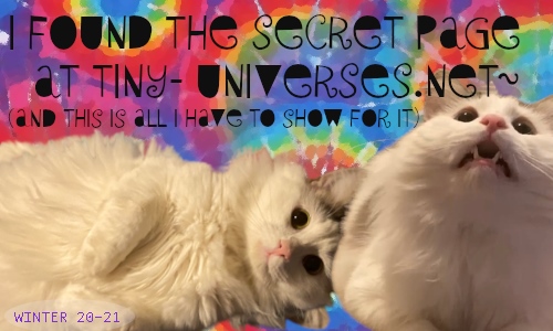 (I found the secret page at tiny-universes.net // Winter 20-21)